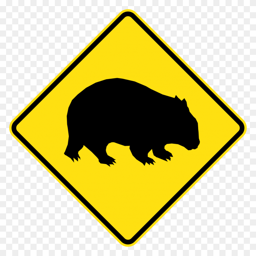 Detail Wombat Png Nomer 5