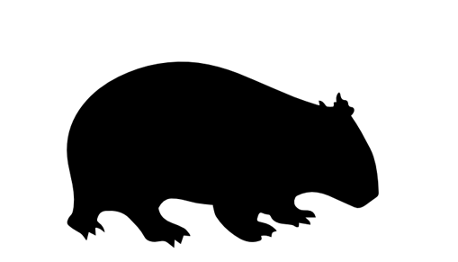 Detail Wombat Png Nomer 13