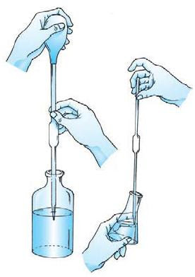 Detail Gambar Pipet Gondok Nomer 56