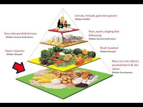Detail Gambar Piramid Makanan Nomer 12