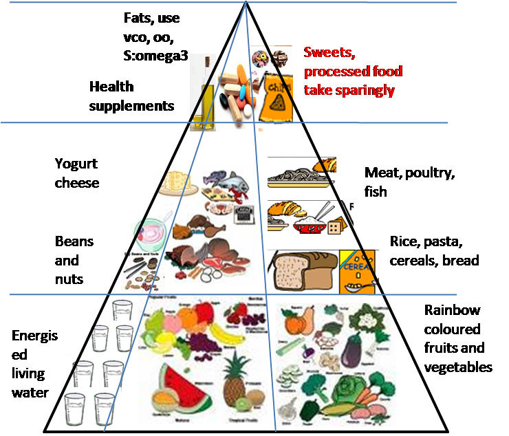 Detail Gambar Piramid Makanan Nomer 13