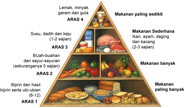 Detail Gambar Piramid Makanan Nomer 14
