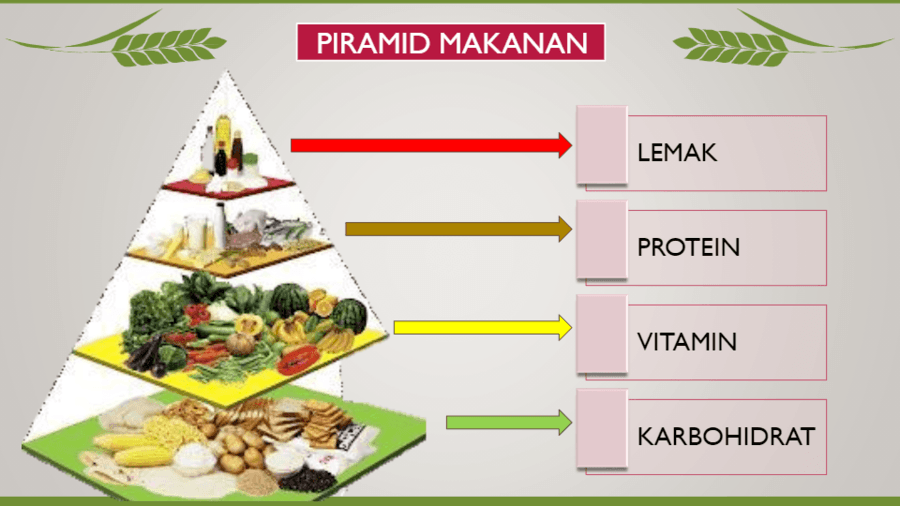 Detail Gambar Piramid Makanan Nomer 19