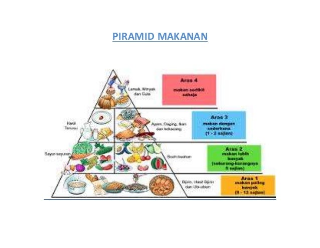 Detail Gambar Piramid Makanan Nomer 3