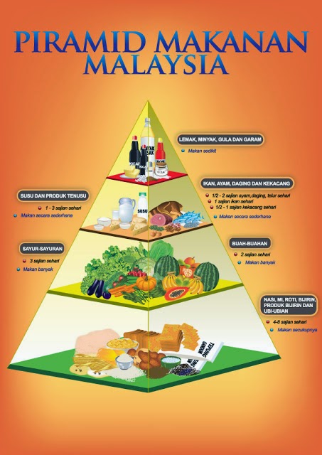 Detail Gambar Piramid Makanan Nomer 21