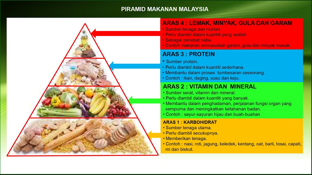 Detail Gambar Piramid Makanan Nomer 31