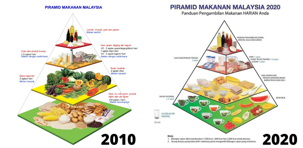 Detail Gambar Piramid Makanan Nomer 36