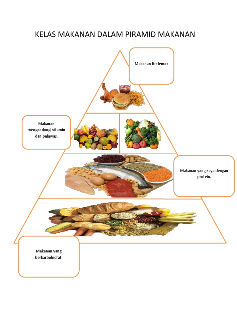 Detail Gambar Piramid Makanan Nomer 9
