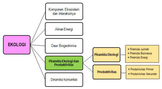 Detail Gambar Piramida Ekologi Nomer 34