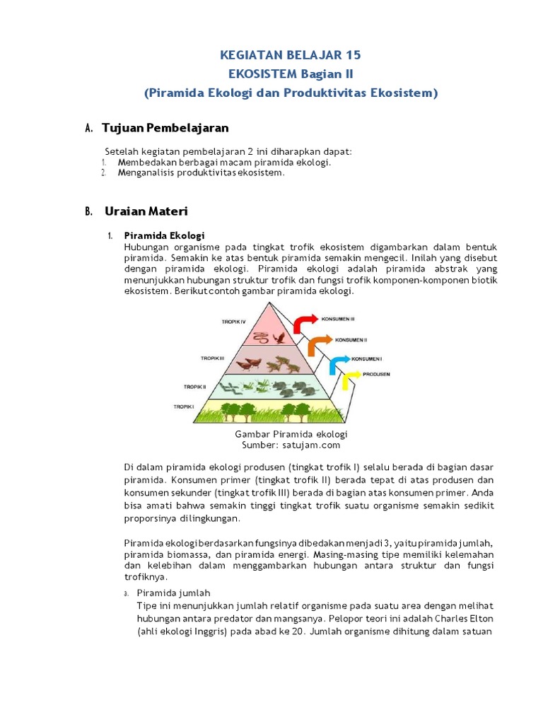 Detail Gambar Piramida Ekologi Nomer 49