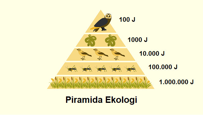 Gambar Piramida Energi - KibrisPDR