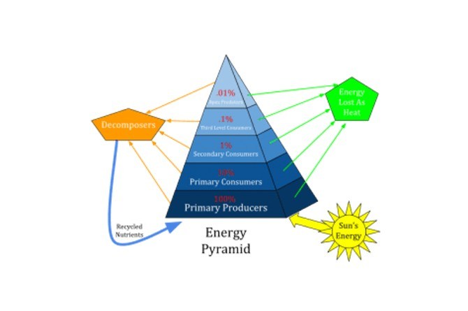 Detail Gambar Piramida Energi Nomer 29