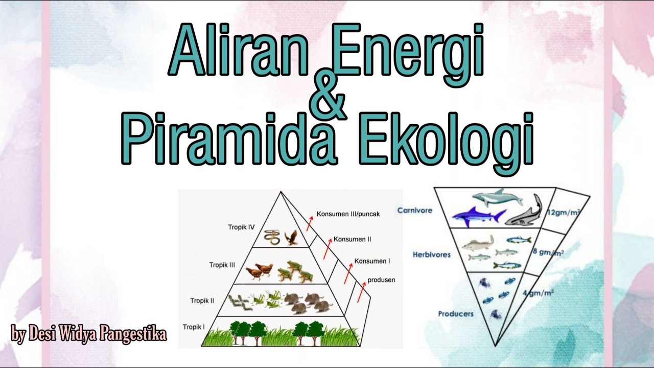 Detail Gambar Piramida Energi Nomer 6