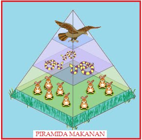 Detail Gambar Piramida Energi Nomer 48