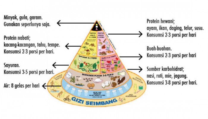 Detail Gambar Piramida Gizi Seimbang Nomer 22