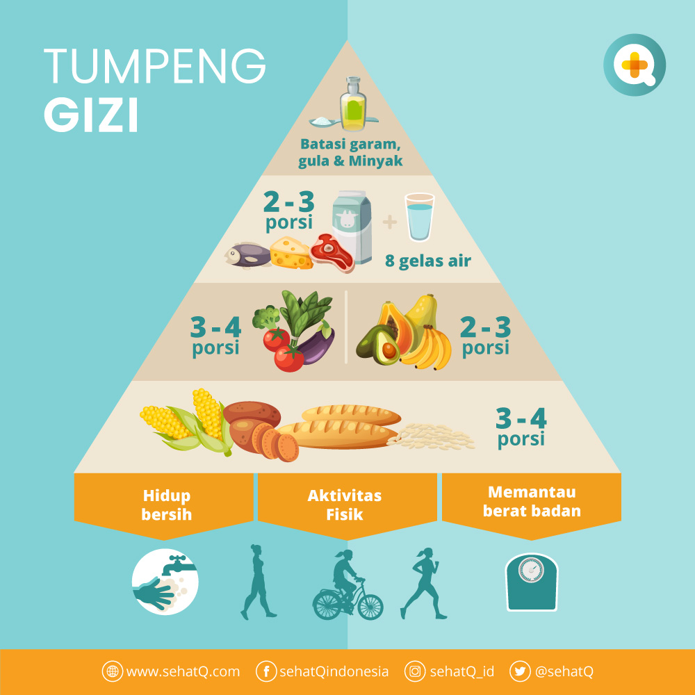 Detail Gambar Piramida Gizi Seimbang Nomer 10