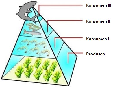 Detail Gambar Piramida Jumlah Nomer 3