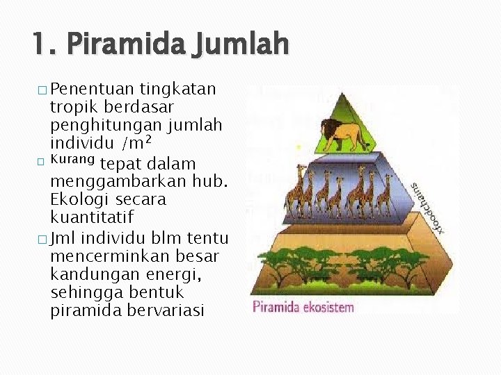 Detail Gambar Piramida Jumlah Nomer 39