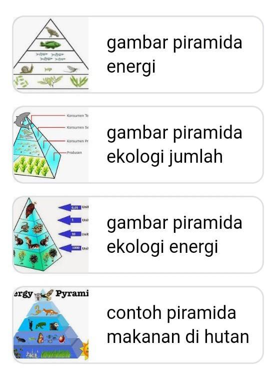 Detail Gambar Piramida Jumlah Nomer 40