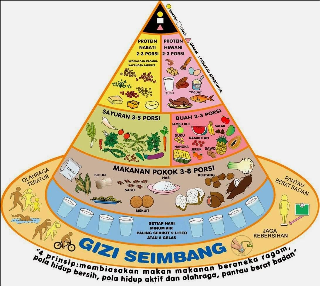 Detail Gambar Piramida Makanan Nomer 20