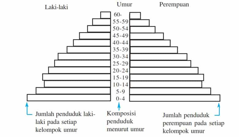 Detail Gambar Piramida Muda Nomer 11