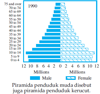 Detail Gambar Piramida Muda Nomer 42