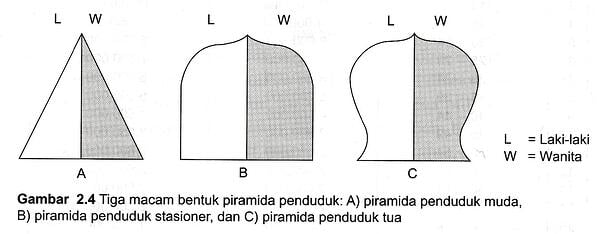 Detail Gambar Piramida Muda Nomer 52