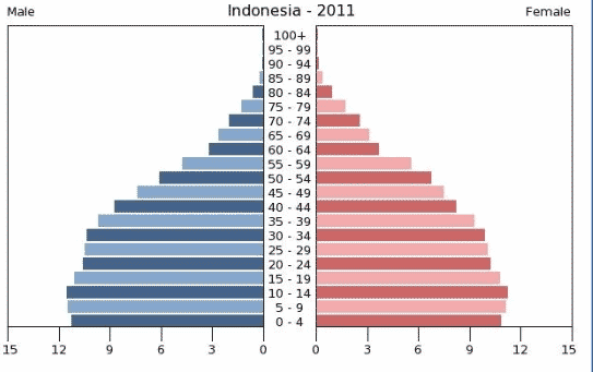 Detail Gambar Piramida Muda Nomer 7