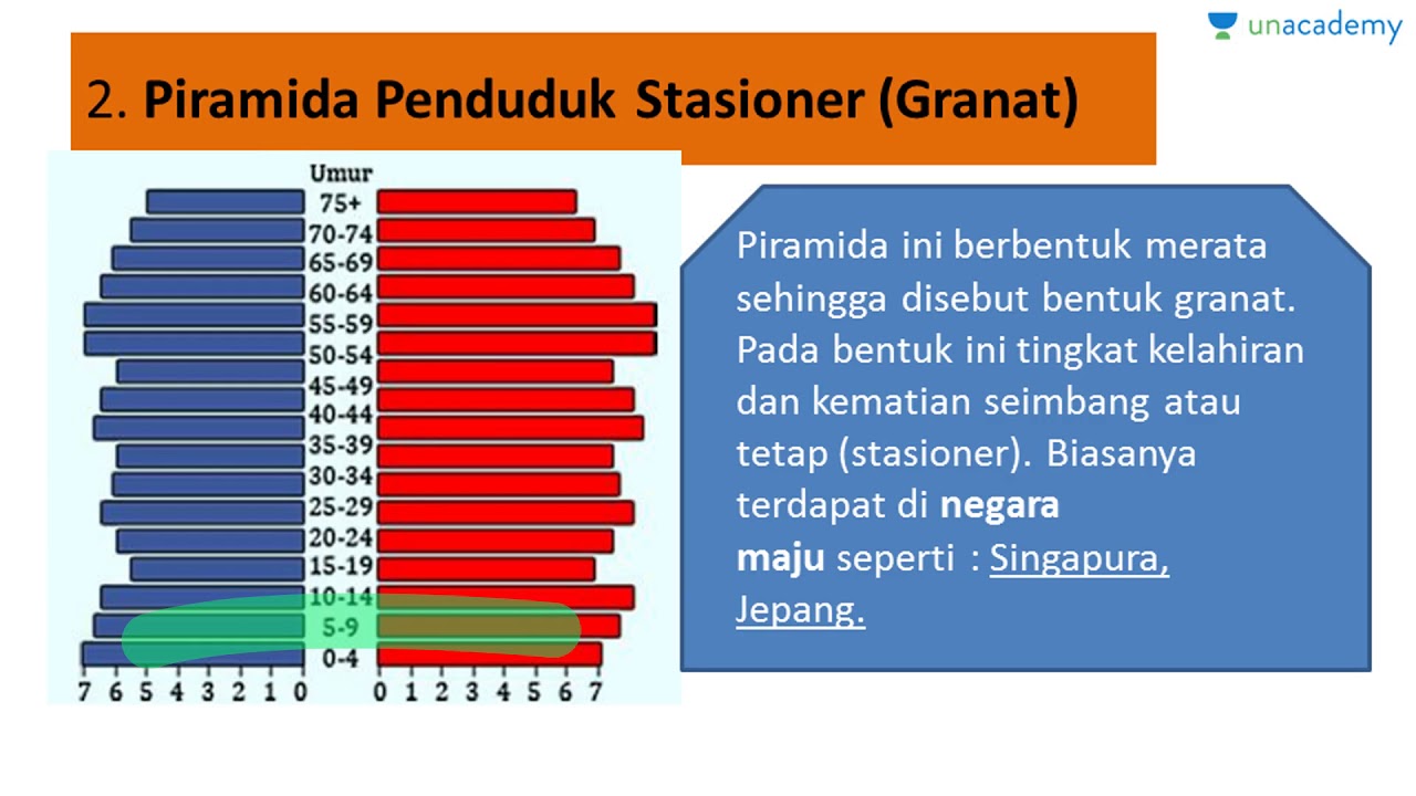 Detail Gambar Piramida Penduduk Nomer 32