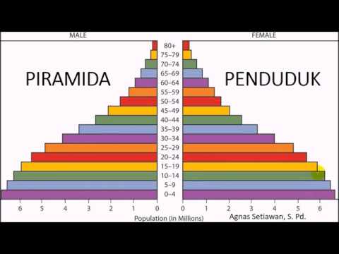 Detail Gambar Piramida Penduduk Nomer 36