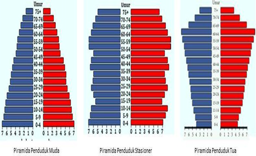 Detail Gambar Piramida Penduduk Nomer 5