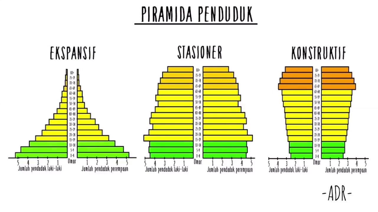 Detail Gambar Piramida Penduduk Nomer 8