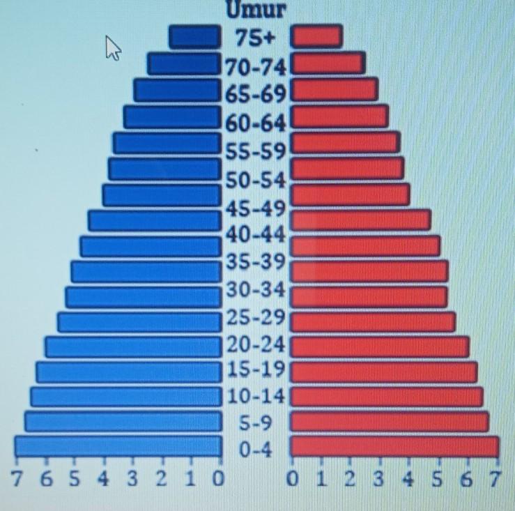 Detail Gambar Piramida Penduduk Muda Nomer 22