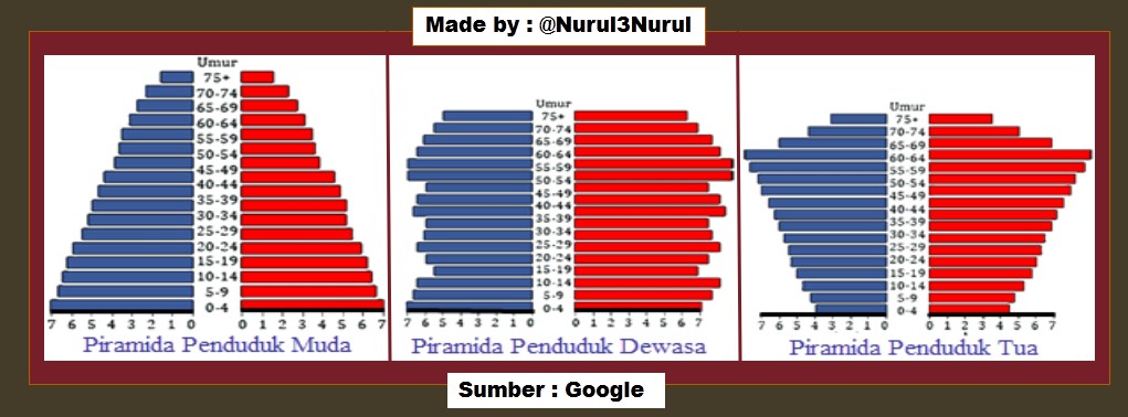 Detail Gambar Piramida Penduduk Muda Nomer 44