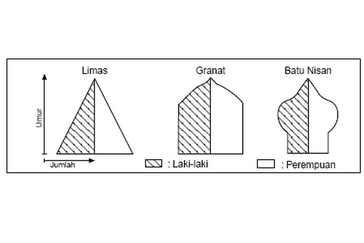 Detail Gambar Piramida Penduduk Stasioner Nomer 11