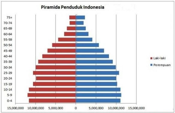 Detail Gambar Piramida Penduduk Stasioner Nomer 12