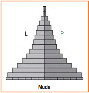 Detail Gambar Piramida Penduduk Stasioner Nomer 20