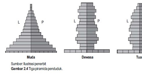 Detail Gambar Piramida Penduduk Stasioner Nomer 24