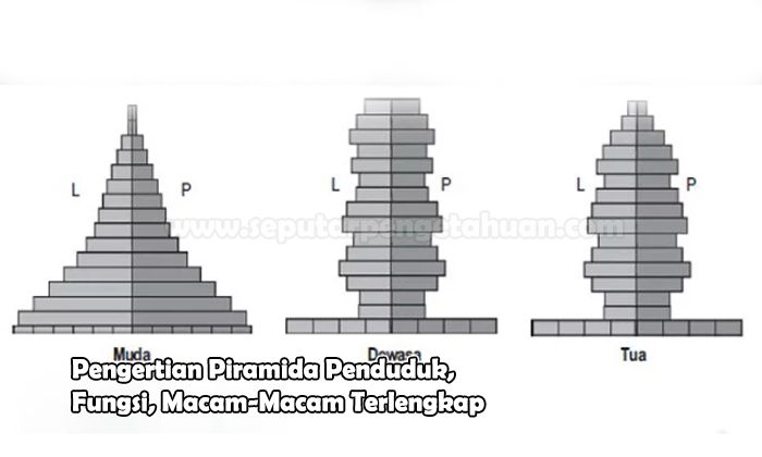 Detail Gambar Piramida Penduduk Stasioner Nomer 49