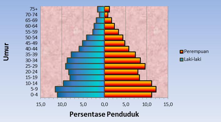 Detail Gambar Piramida Penduduk Tetap Nomer 41