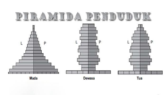 Detail Gambar Piramida Penduduk Tua Nomer 26