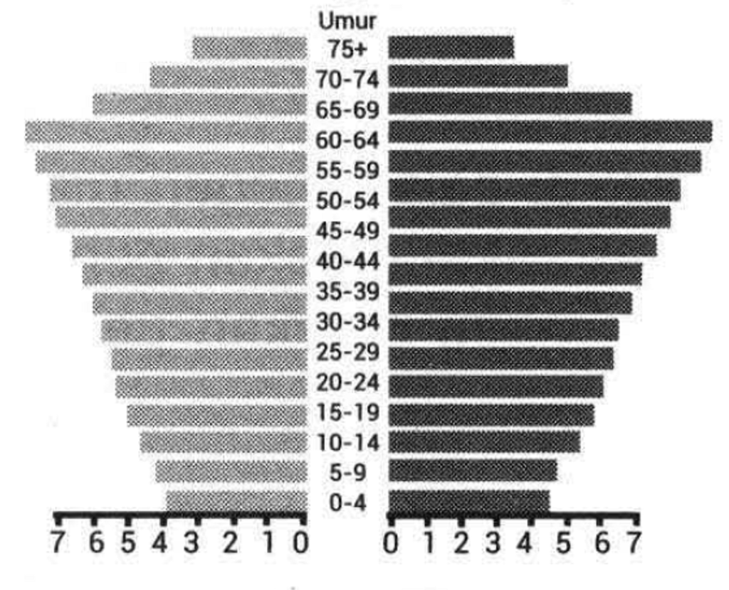 Detail Gambar Piramida Penduduk Tua Nomer 47