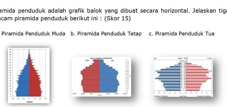 Detail Gambar Piramida Penduduk Tua Nomer 49