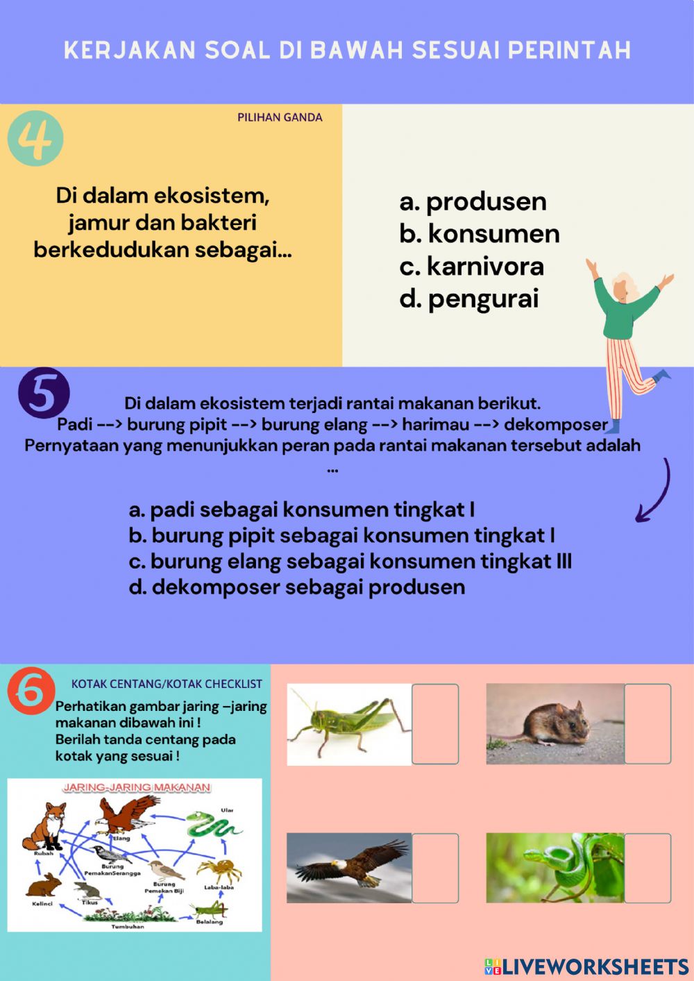 Detail Gambar Piramida Rantai Makanan Nomer 31