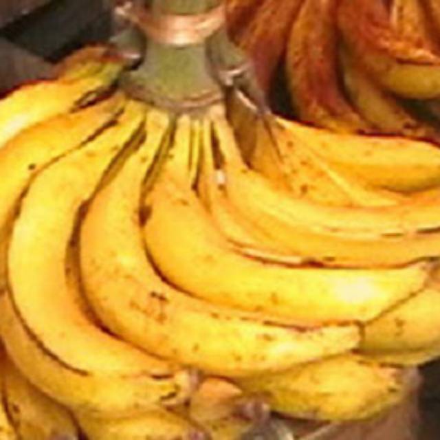 Detail Gambar Pisang Agung Nomer 23