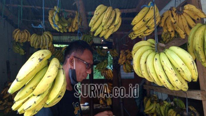 Detail Gambar Pisang Agung Nomer 31