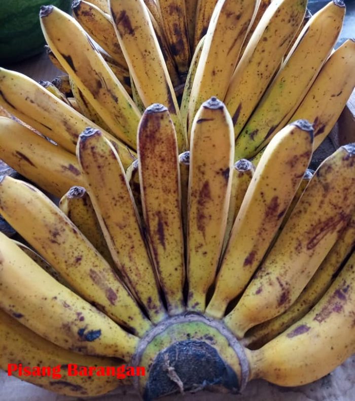 Detail Gambar Pisang Ambon Satu Biji Nomer 48