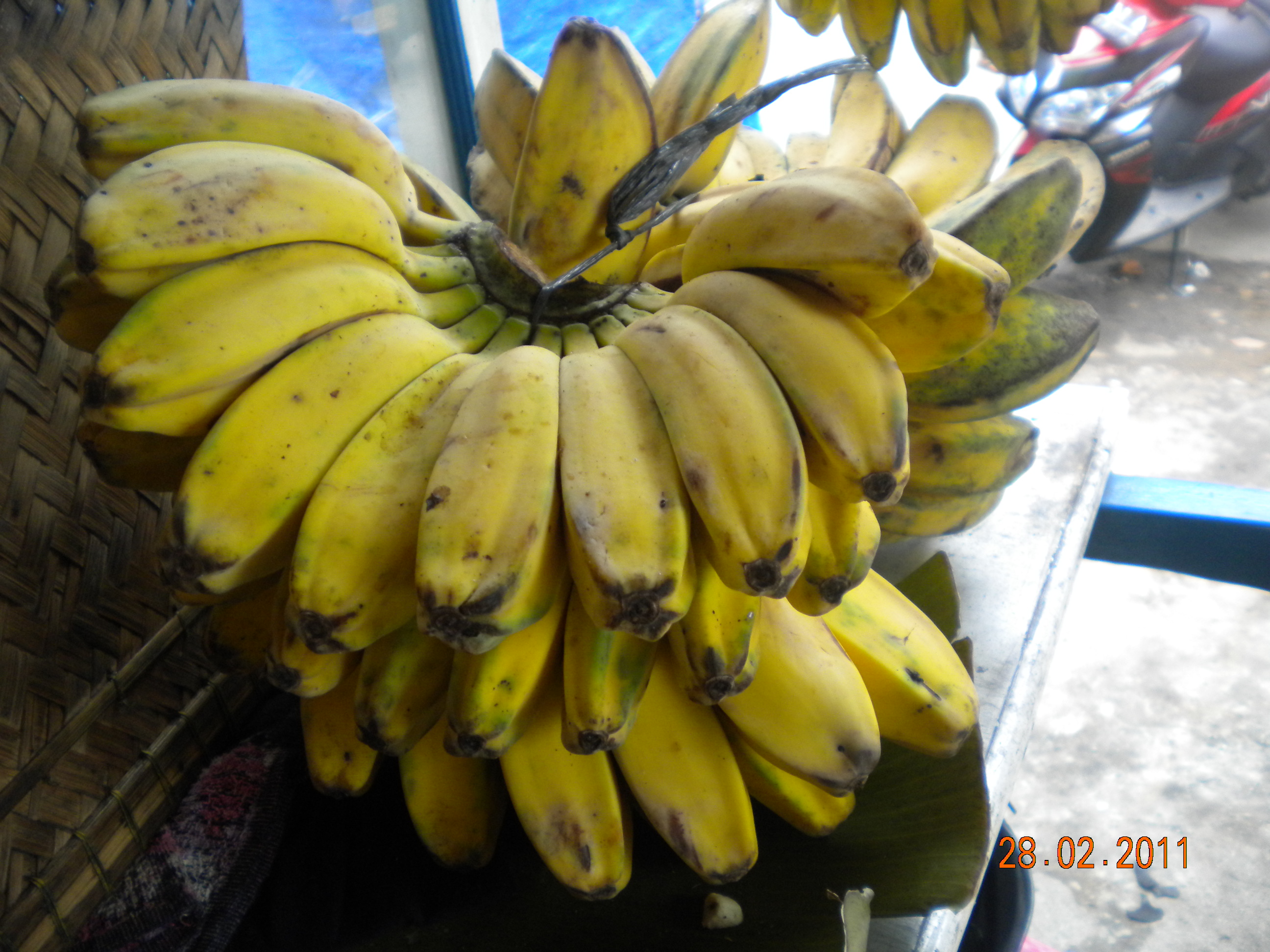 Detail Gambar Pisang Batu Nomer 18