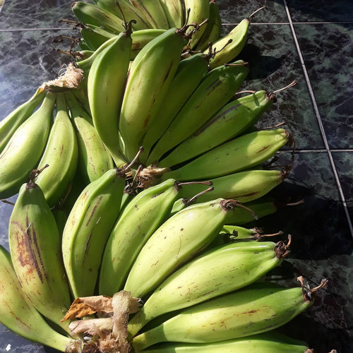 Detail Gambar Pisang Batu Nomer 37