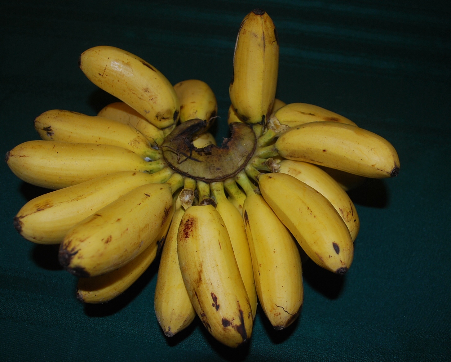 Detail Gambar Pisang Emas Nomer 25